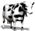 cow.gif